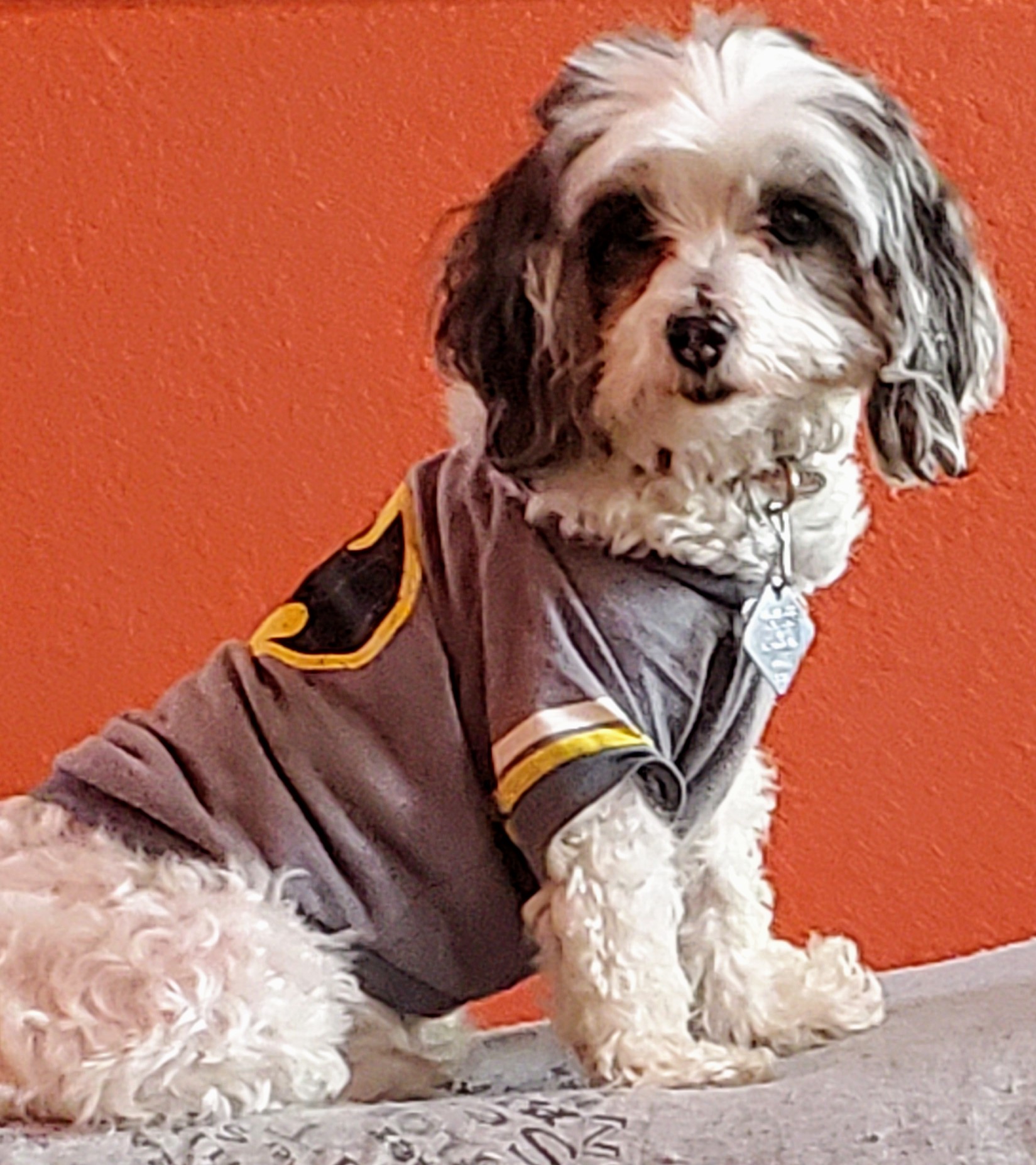 Bella Barker