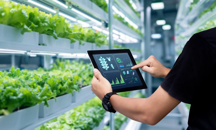 Food and Beverage Agriculture
