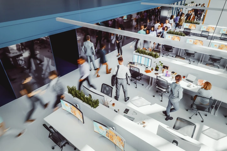 Large Professional Office