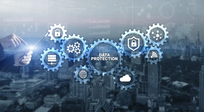 Tailored Data Protection Services